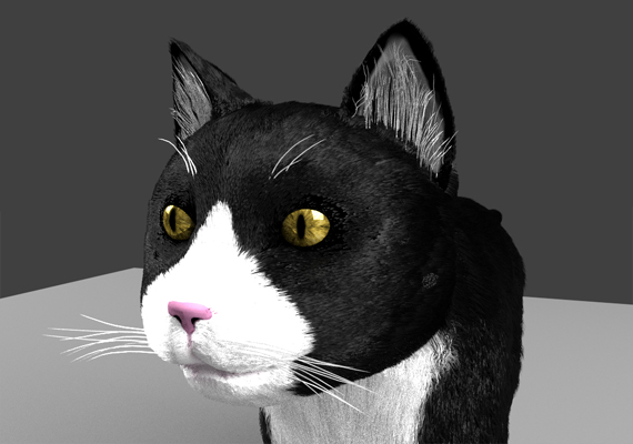 This is a close up of the cat I created for <i>Avocado Anomaly 2</i>.